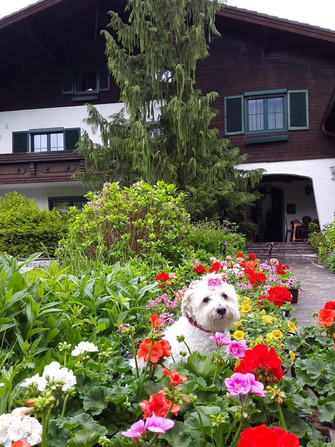 Haus Am Moos Bed & Breakfast Salzburg Luaran gambar